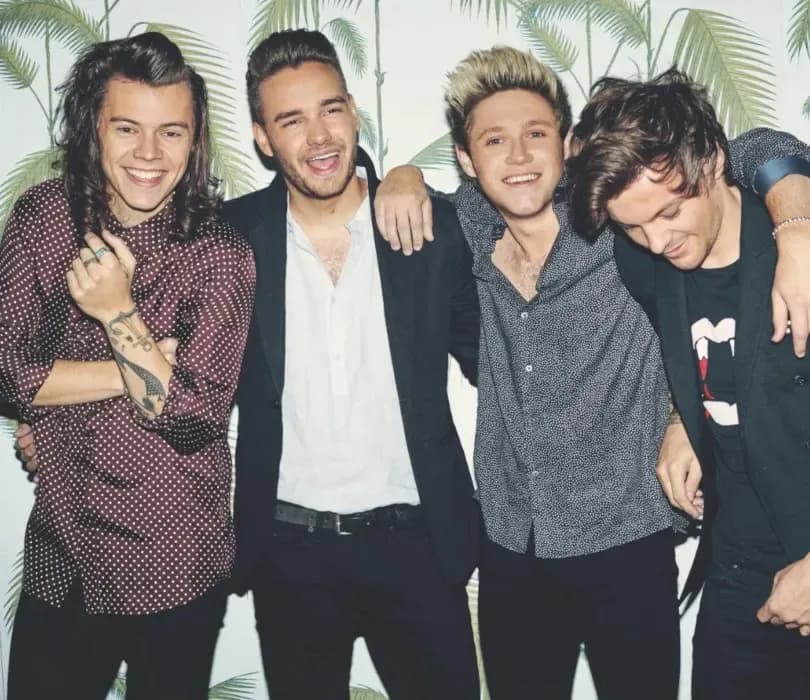 Ile kosztuje bilet na koncert One Direction? Zaskakujące ceny!